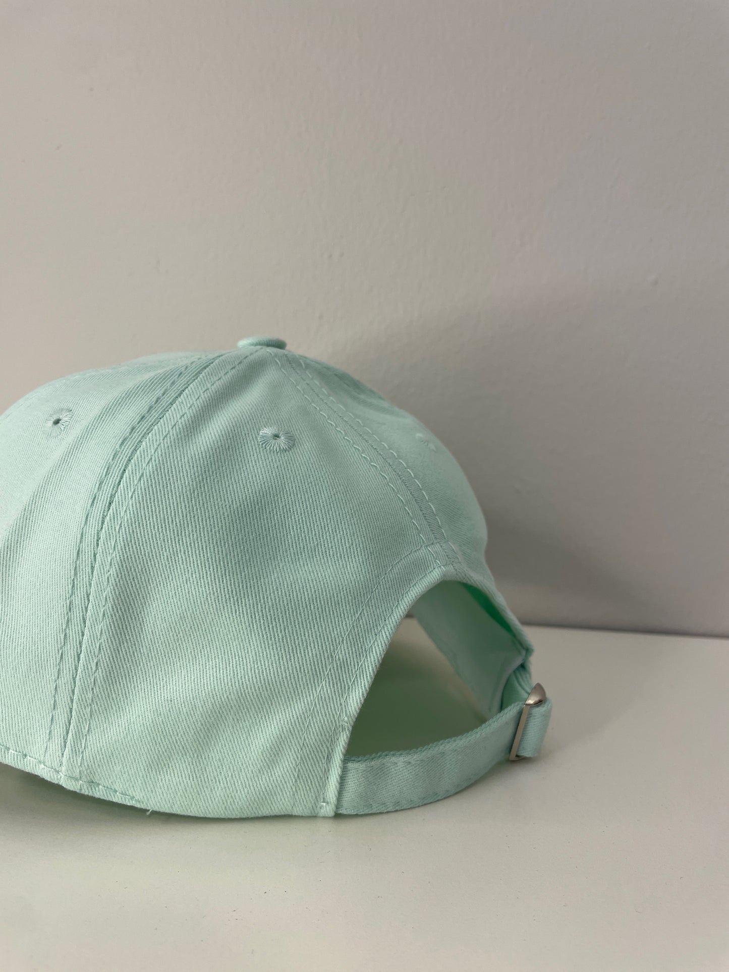 TERRSITA TM LOGO 880 CAP -MINT