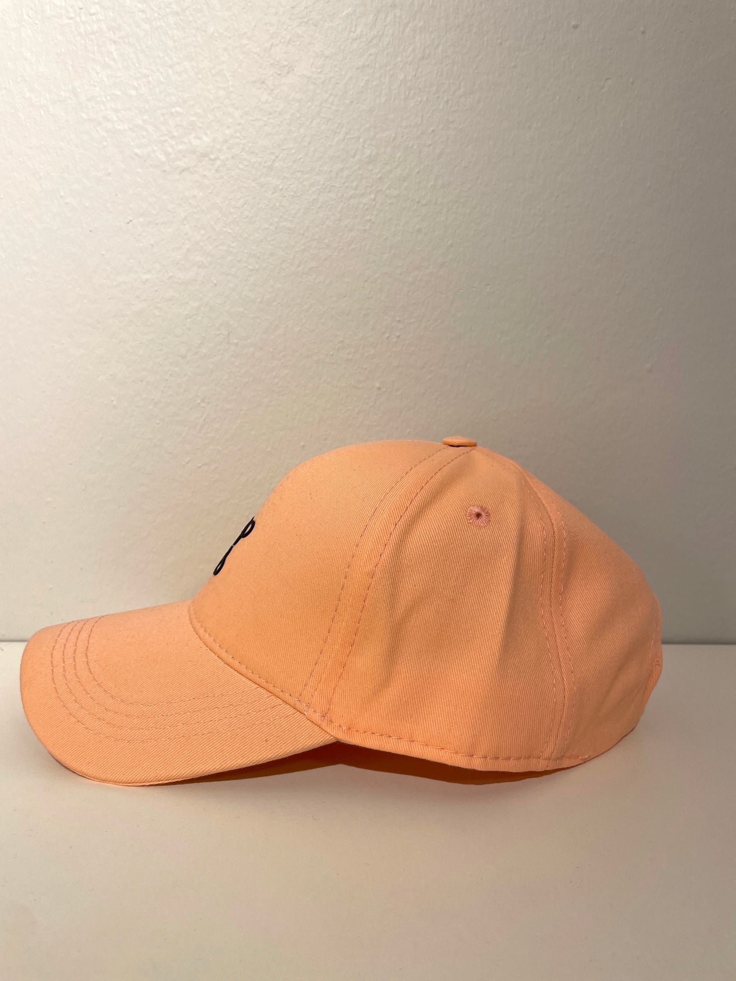 TERRSITA TM LOGO 880 CAP- ROSE