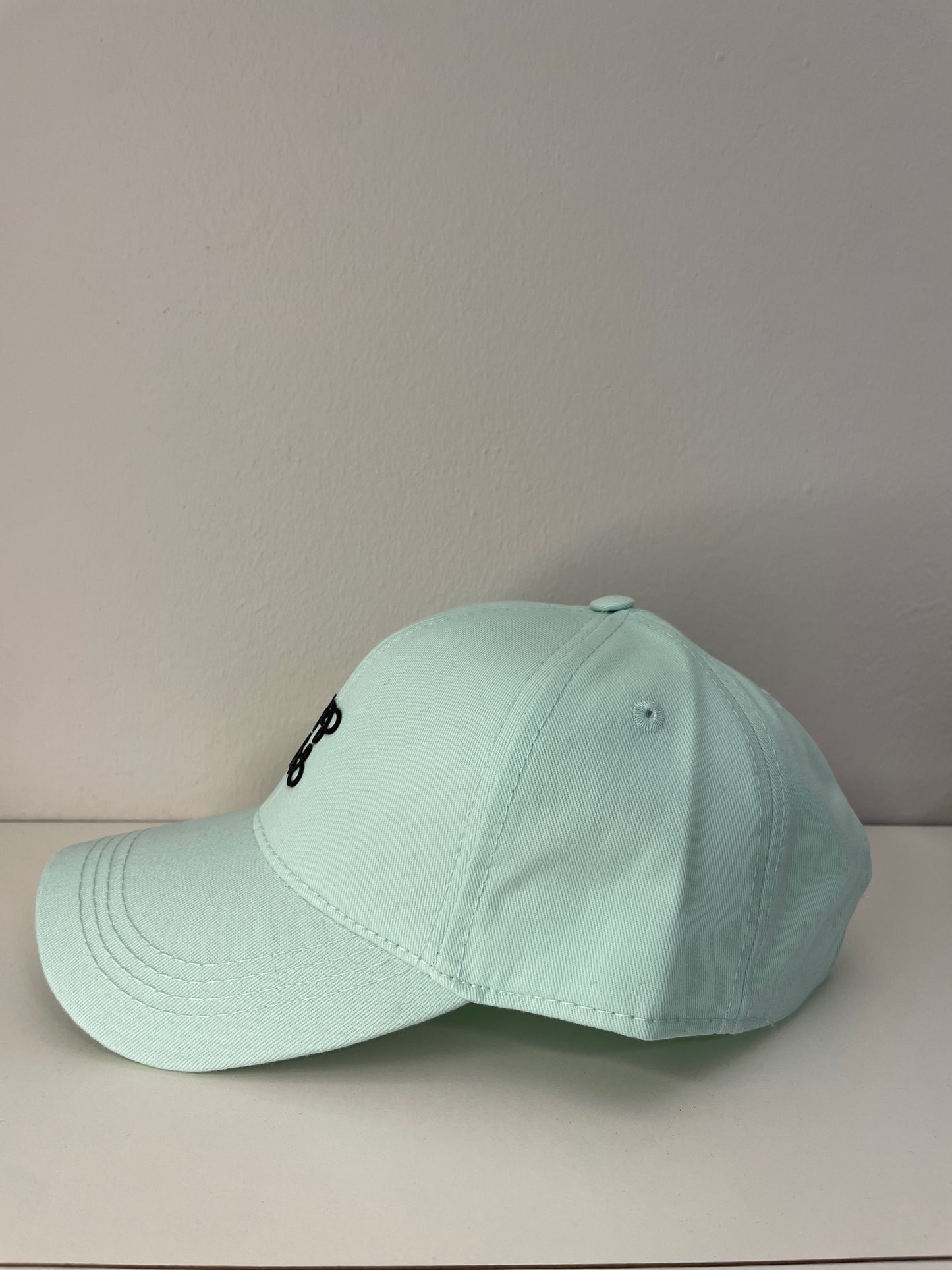 TERRSITA TM LOGO 880 CAP -MINT