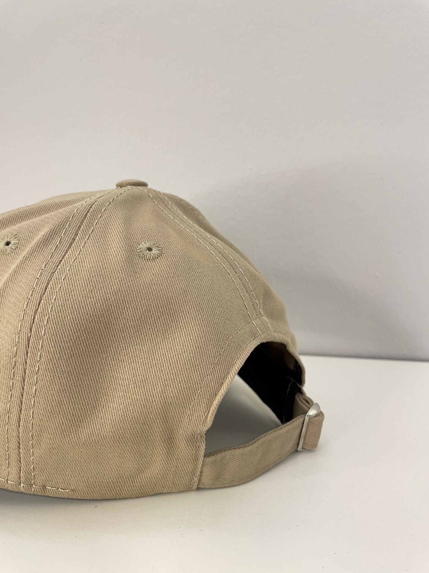 TERRSITA TM LOGO 880 CAP