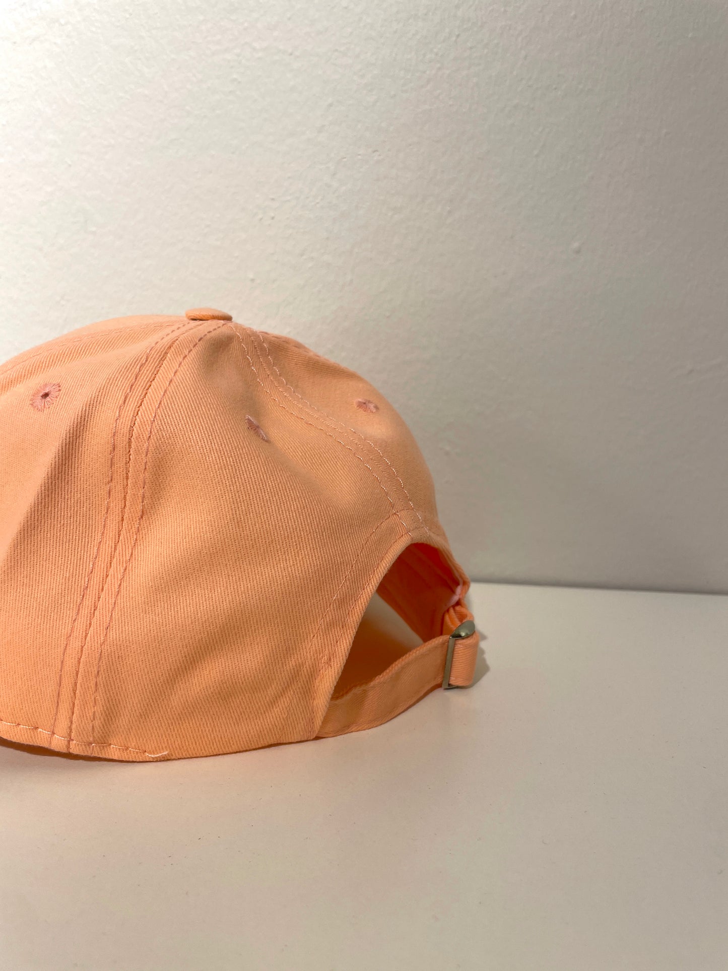 TERRSITA TM LOGO 880 CAP- ROSE
